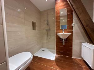 een badkamer met een toilet en een wastafel bij Holiday Home Bungalowpark Landsrade by Interhome in Gulpen