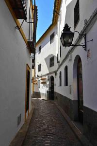 an alley with white buildings and a cobblestone street at Aljara Mezquita in Córdoba