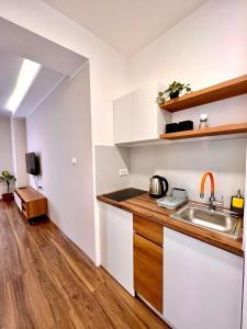 een keuken met een wastafel en een aanrecht bij Stefan Suite Belgrade Center Apartment in Belgrado