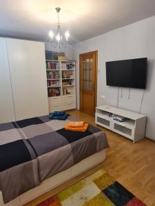 1 dormitorio con 1 cama y TV de pantalla plana en David Accommodation Deva, en Deva