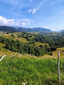 希爾內亞的住宿－Pensiunea Luca，从山顶上欣赏草地和树木的景色