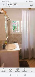 a bathroom with a sink and a shower curtain at Villa les chênes in Bargemon