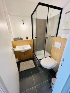 a bathroom with a shower and a toilet and a sink at NaSa Wohnen Zentrum in Krefeld