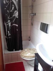 a bathroom with a toilet and a shower and a sink at Haus Babajaga in Allrode