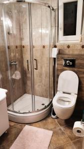 uma casa de banho com um chuveiro e um WC. em Apartment Dmitr Petrovac em Petrovac na Moru