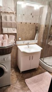 uma casa de banho com um lavatório e um chuveiro em Apartment Dmitr Petrovac em Petrovac na Moru