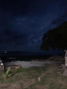a night view of a beach with a dark sky at Nitasnipahut Pamilacan island in Pamilacan