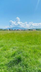 un campo de césped verde con montañas en el fondo en D&M Family Residence Bran 2, en Bran