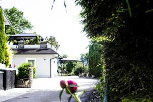 Zahrada ubytování Ferienwohnung in Feldkirchen Dagmar und Christian!