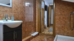 ein Bad mit einem Waschbecken und einer Dusche in der Unterkunft Hanul Ancutei in Curtea de Argeş