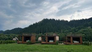 un gruppo di tre piccole case in un campo di La AMI Kaban a Câmpulung Moldovenesc