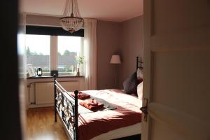 a bedroom with a bed and a window at CosyPlace; close to beach, nature, train, grocery in Köpingebro