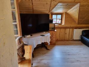 TV a/nebo společenská místnost v ubytování Gościniec Kotowina