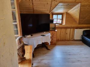 a living room with a large flat screen tv in a cabin at Agroturystyka Kajaki Sauna Pierogi in Bakałarzewo
