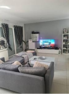 uma sala de estar com um sofá e uma televisão em Chez Riz em Arles