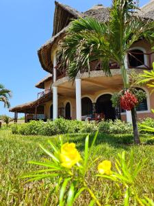 a house with a palm tree in front of it at Room in Villa - Eagle Suite 38m2 in Villa 560 m2, Indian Ocean View in Shimoni