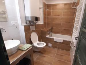 a bathroom with a toilet and a sink and a tub at Studio Vodopády Černá Desná by Interhome in Desná