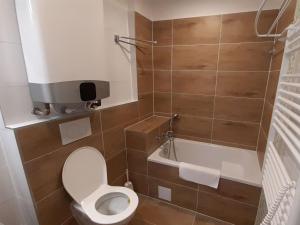 a bathroom with a toilet and a bath tub at Studio Vodopády Černá Desná by Interhome in Desná