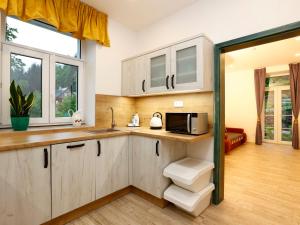 a kitchen with white cabinets and a microwave at Apartment Přehrada Souš by Interhome in Desná