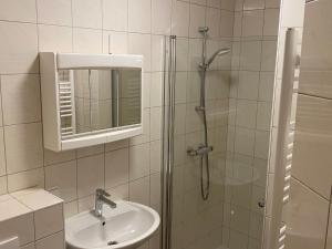 ein Bad mit einer Dusche, einem Waschbecken und einem Spiegel in der Unterkunft Apartment Hasenstall - Top 8 by Interhome in Grünau im Almtal