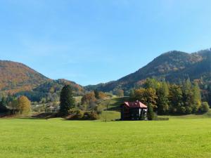 a green field with a house in the middle of a mountain at Apartment Hasenstall - Top 8 by Interhome in Grünau im Almtal