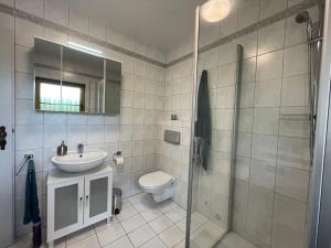 ein Bad mit einem WC, einem Waschbecken und einer Dusche in der Unterkunft Apartment ReMaWe by Interhome 