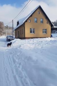 a dog walking in the snow in front of a house at Apartment Stela by Interhome in Bolkov