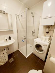 Kúpeľňa v ubytovaní Apartman Welcome to Trešnjevka + 27 fotografií