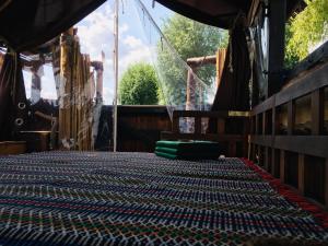 eine Bühne mit einem Teppich auf dem Boden in der Unterkunft Das Floß - Biberspur in Brandenburg an der Havel