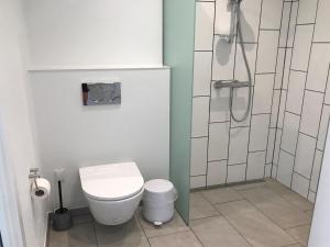 a bathroom with a toilet and a shower at Apartment Esger - all inclusive - 900m from the sea by Interhome in Blåvand