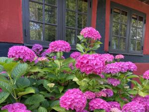 Zahrada ubytování Holiday Home Elvin - 2-7km from the sea by Interhome