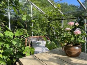 Zahrada ubytování Holiday Home Elvin - 2-7km from the sea by Interhome