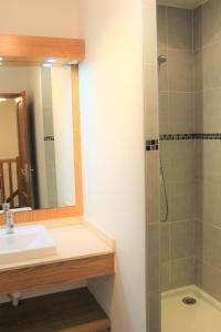 een badkamer met een wastafel en een douche met een spiegel bij La Bullote - Gîtes - Paris Roissy in Villeneuve-sous-Dammartin