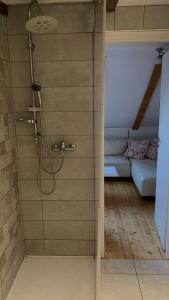 een badkamer met douche in een kamer bij Le Liv On in Rijeka +26 foto's