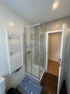 une douche avec une porte vitrée dans une salle de bain dans l'établissement Übernachtung by Tag, à Staufenberg 6 autres photos