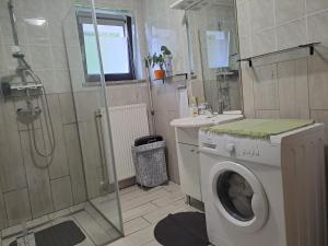 a bathroom with a washing machine and a shower at Apartma Juteršek 2+2 in Libeliče