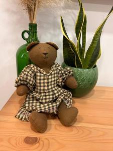 布達佩斯的住宿－GabEni Home，坐在盆栽植物旁边的桌子上的一个泰迪熊