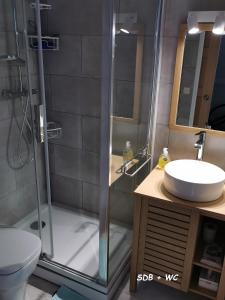 y baño con ducha y lavamanos. en Appartement Côte Fleurie - MERVILLE FRANCEVILLE PLAGE, en Merville-Franceville-Plage