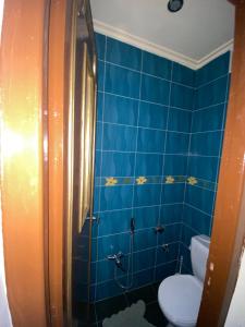 een blauwe betegelde badkamer met een toilet en een douche bij إقامة المقاومة قرب سوق الحد اكادير in Agadir