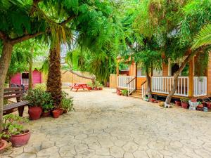 une terrasse avec des palmiers, des bancs et des plantes dans l'établissement Holiday Home La Alqueria de Jordi by Interhome, à El Grao de Castellón