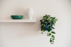 a shelf with a plant and a bowl on a wall at Maraini 17 by Quokka 360 - panoramic flat near the station in Lugano