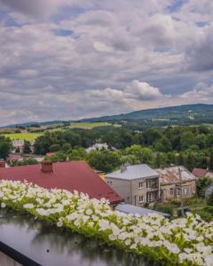 vistas a una ciudad con flores blancas en Apartamenty Rymanów, en Rymanów