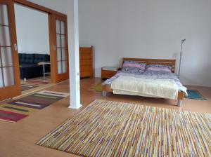 מיטה או מיטות בחדר ב-Apartment1 Pilsen-Ujezd