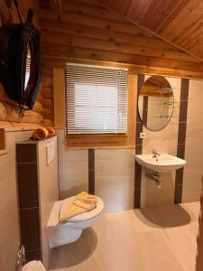 a bathroom with a toilet and a sink at Harrys Blockhütte in Karres