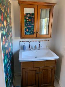 a bathroom with a sink and a medicine cabinet at Silverspring Farm En suite in Constantine