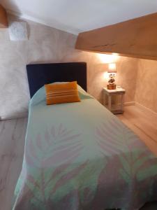 ein Schlafzimmer mit einem Bett mit einer bunten Decke in der Unterkunft Gite Tropical 