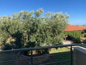 a view of two trees from a balcony at Villa Giannoula in Gerakini