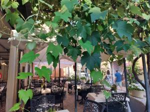 a green tree in a restaurant with tables and chairs at Locanda alla Chiesa in Lazise
