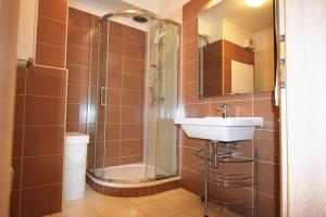 un bagno con doccia e lavandino di Apartman Bystrc a Brno