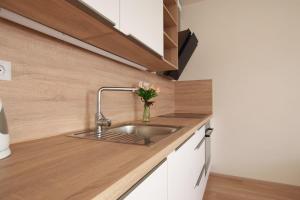 Cucina o angolo cottura di Apartman Bystrc